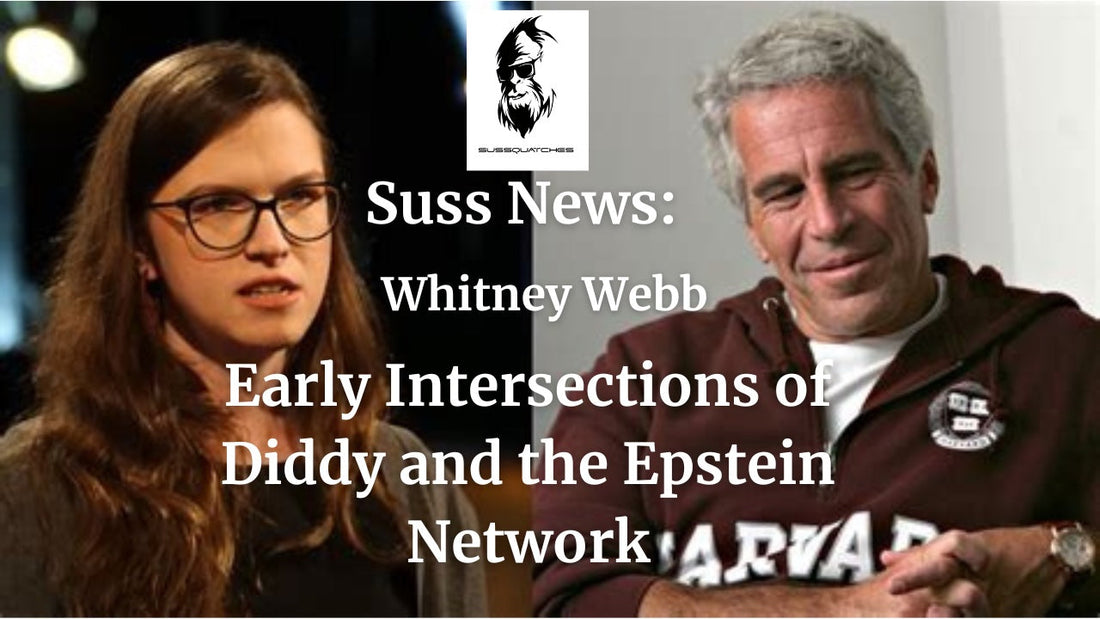 Epstein and Diddy Ties: What is the Truth? Review of Whitney Webb's Critical Article Part I