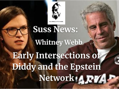Epstein and Diddy Ties: What is the Truth? Review of Whitney Webb's Critical Article Part I